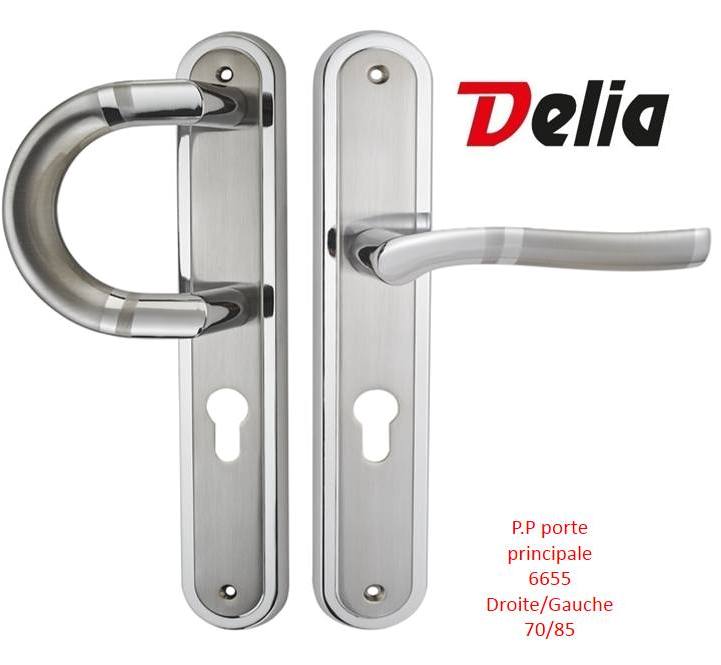 riv porte principal  6655/85