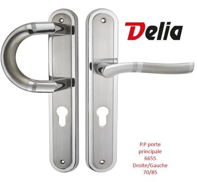 riv porte principal  6655/70